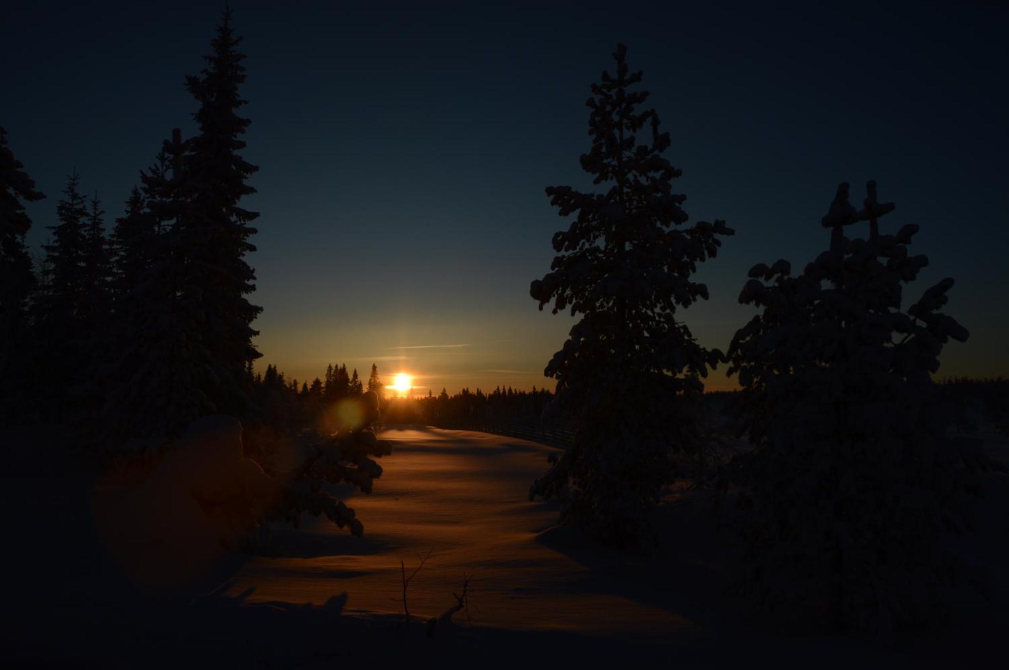 12 - Fulufjellets Nasjonalparker - Natur-, Dyre- Og Fugleopplevelser Ljørdal Esterno foto