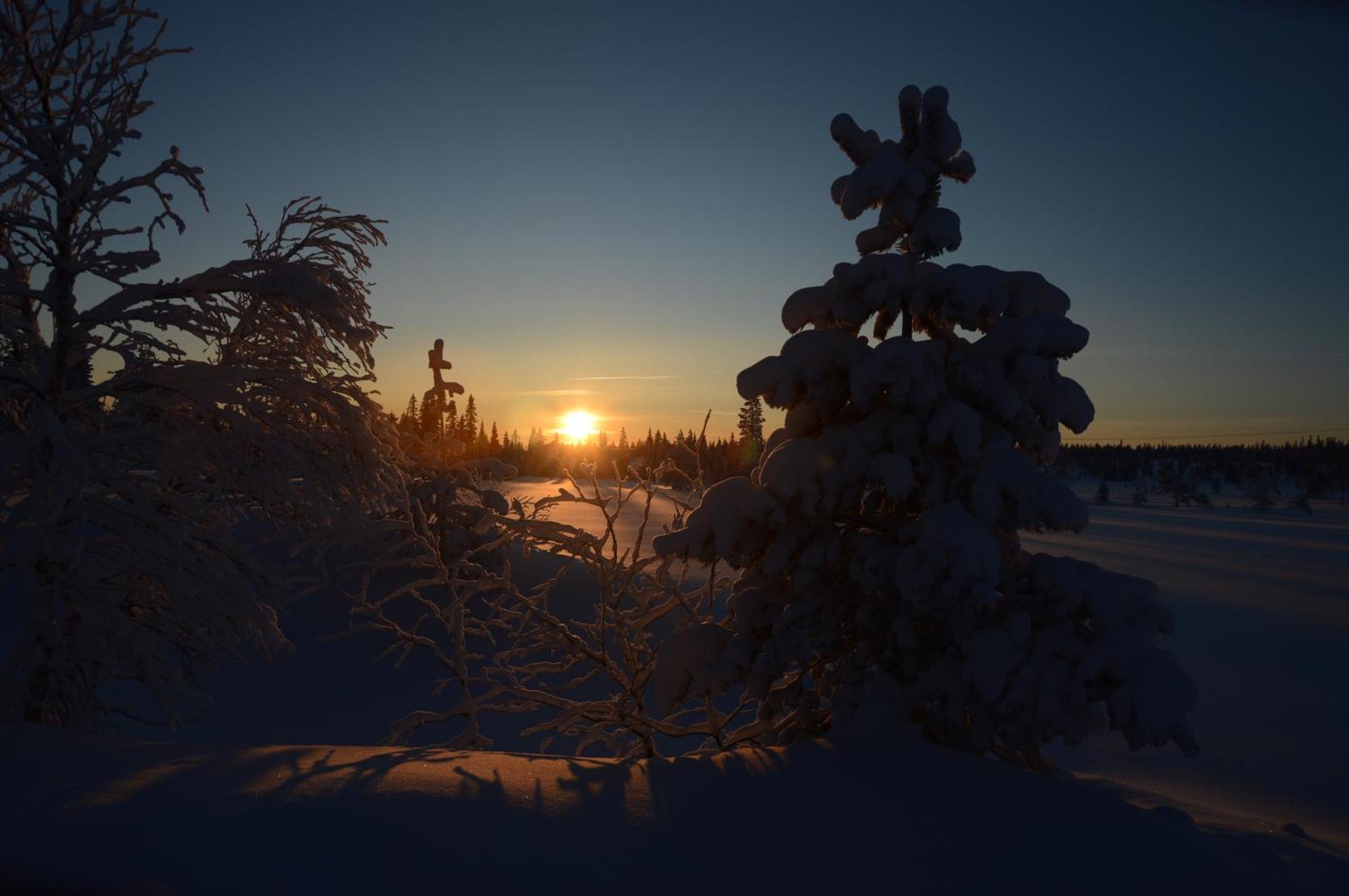 12 - Fulufjellets Nasjonalparker - Natur-, Dyre- Og Fugleopplevelser Ljørdal Esterno foto