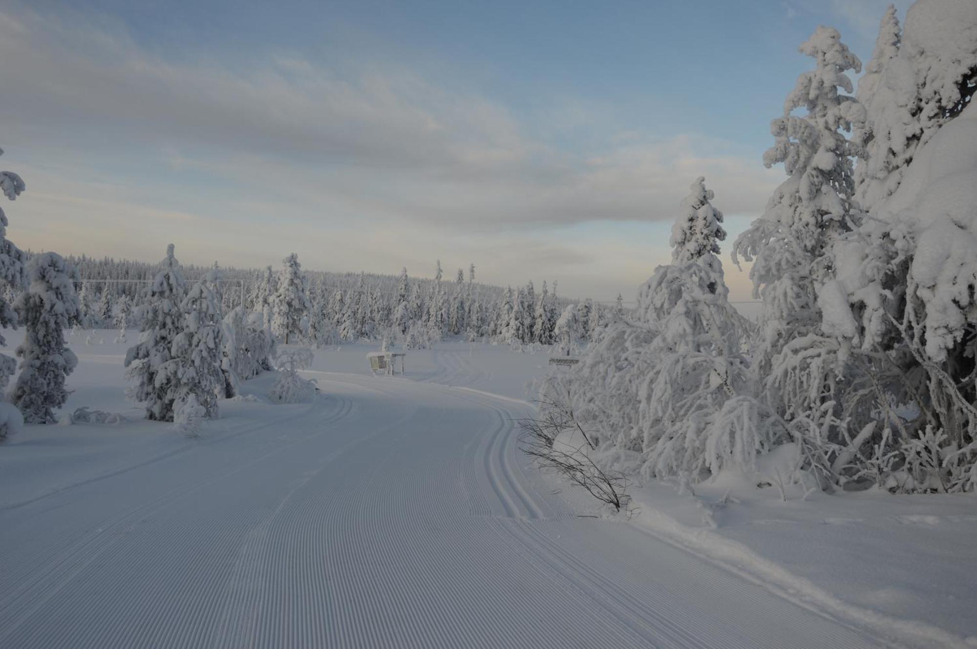 12 - Fulufjellets Nasjonalparker - Natur-, Dyre- Og Fugleopplevelser Ljørdal Esterno foto