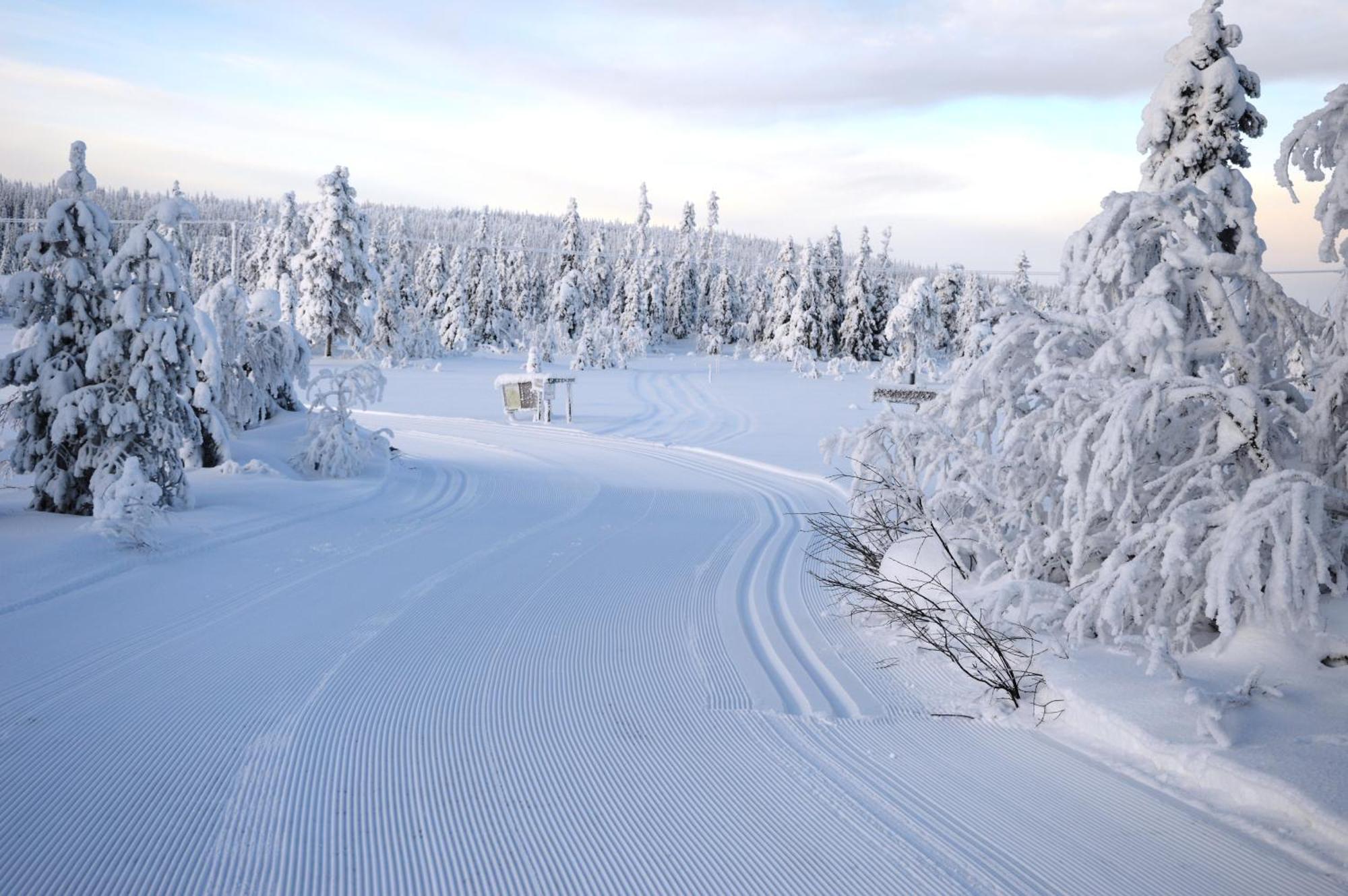 12 - Fulufjellets Nasjonalparker - Natur-, Dyre- Og Fugleopplevelser Ljørdal Esterno foto