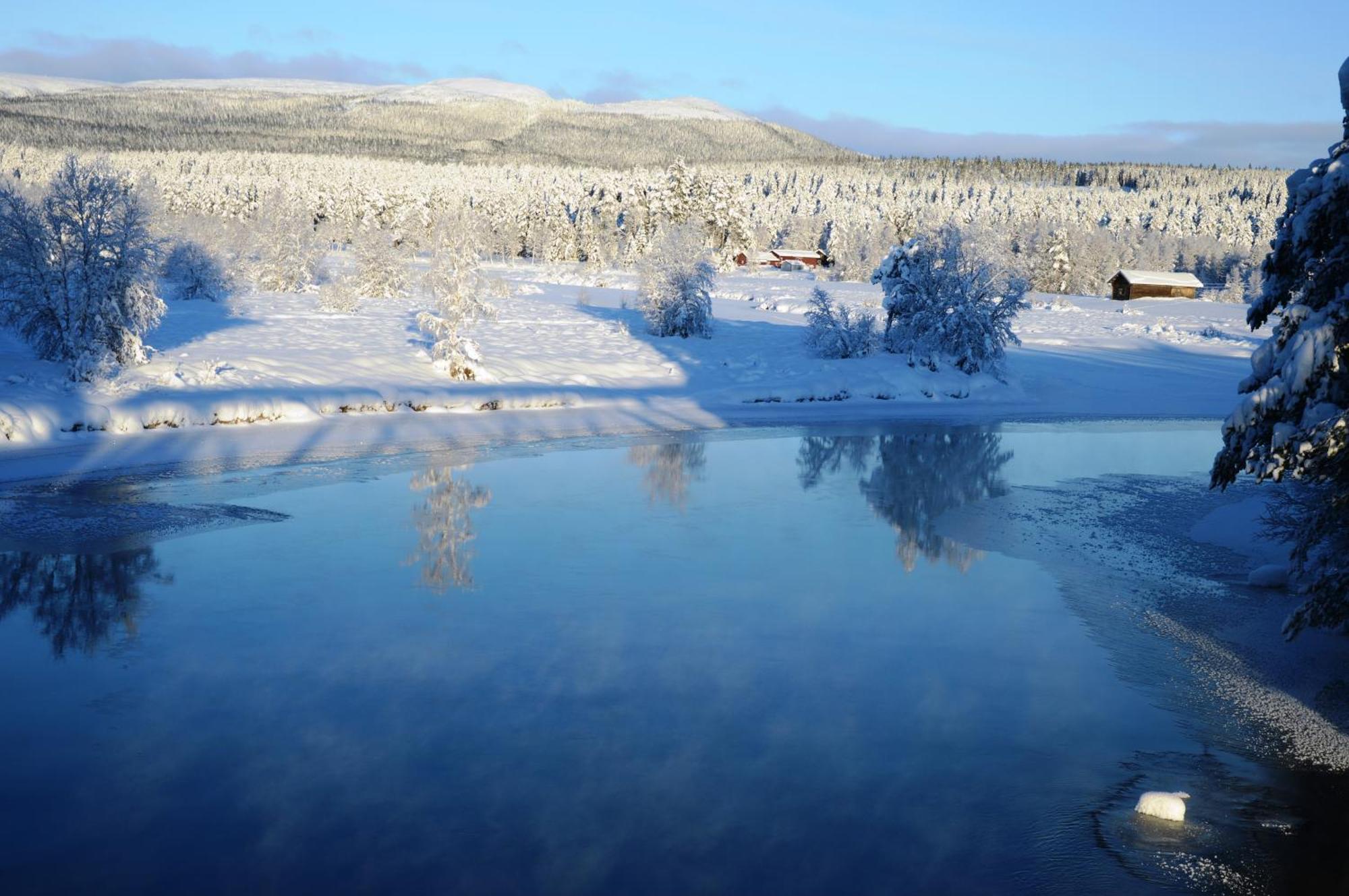 12 - Fulufjellets Nasjonalparker - Natur-, Dyre- Og Fugleopplevelser Ljørdal Esterno foto