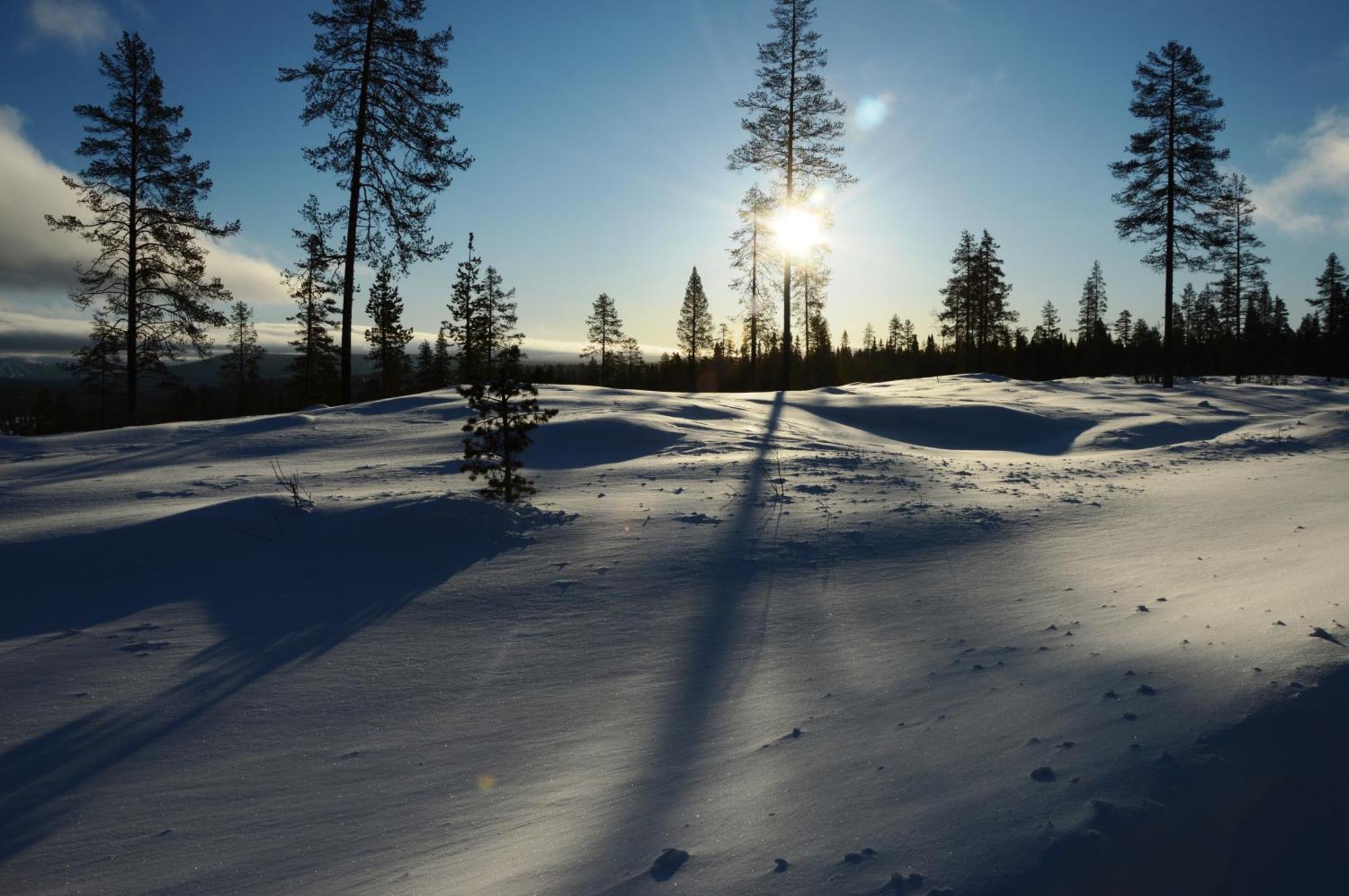 12 - Fulufjellets Nasjonalparker - Natur-, Dyre- Og Fugleopplevelser Ljørdal Esterno foto