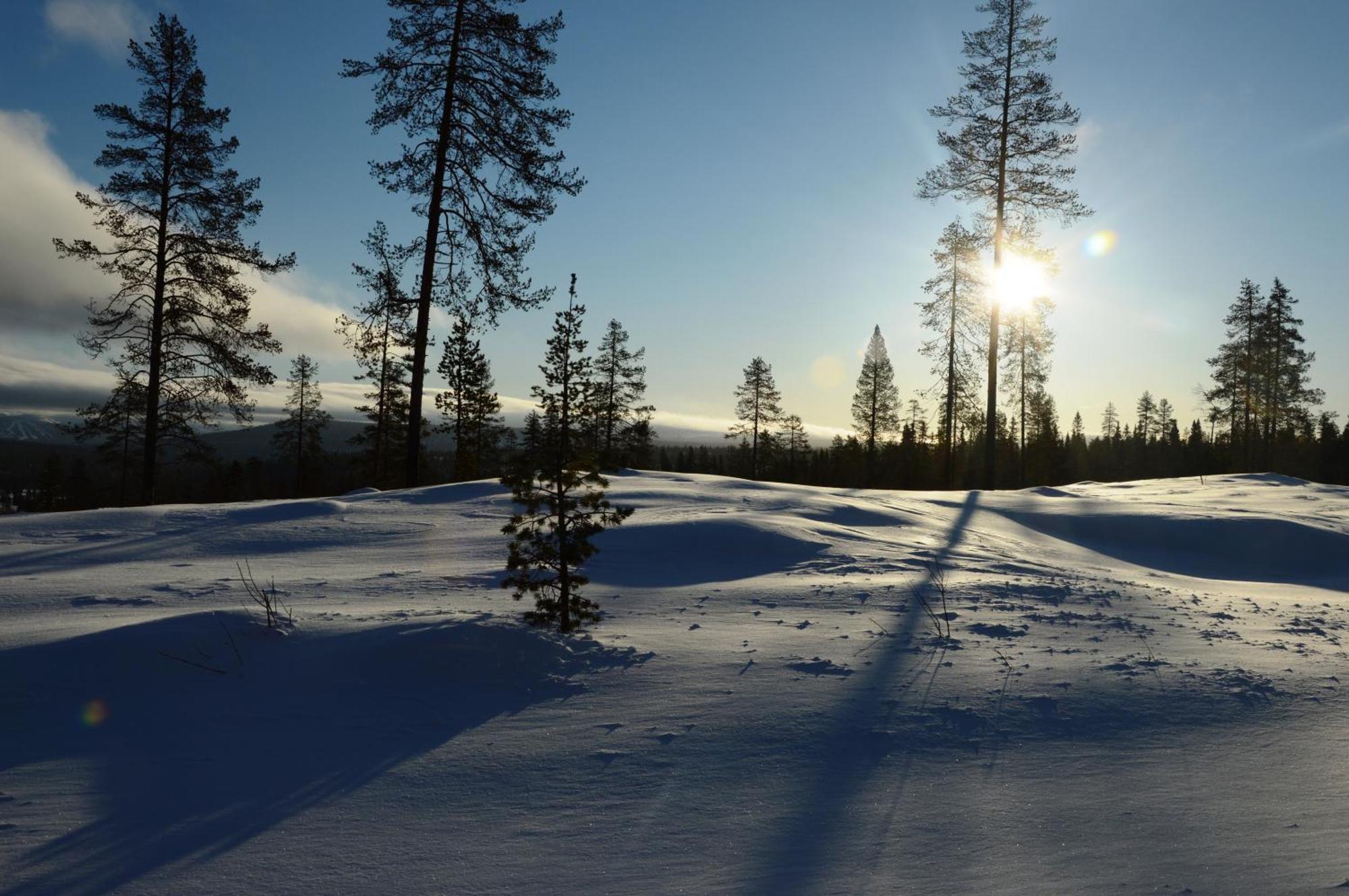 12 - Fulufjellets Nasjonalparker - Natur-, Dyre- Og Fugleopplevelser Ljørdal Esterno foto