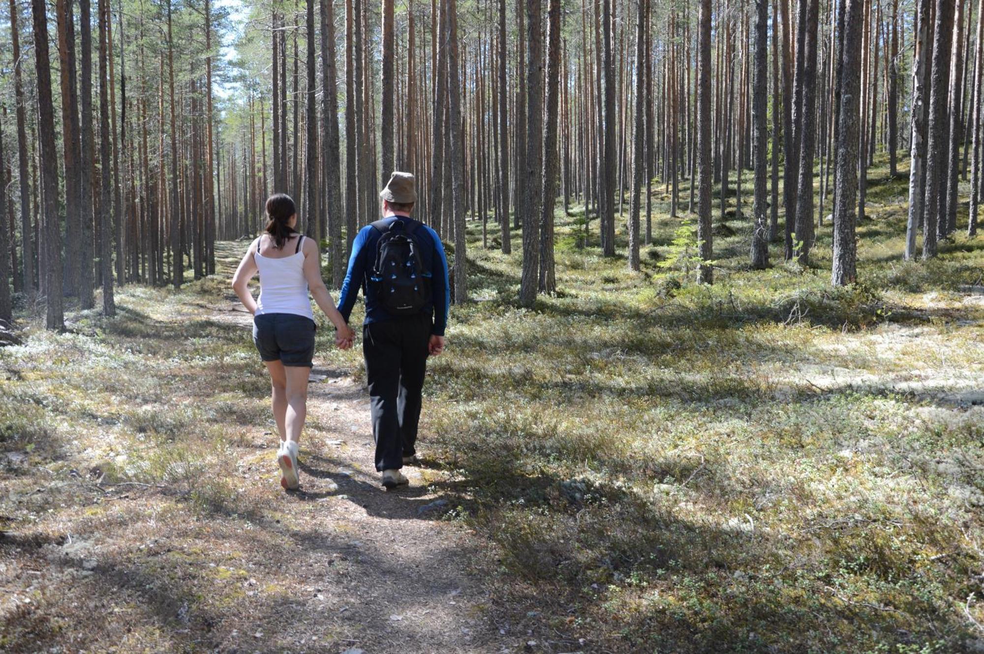 12 - Fulufjellets Nasjonalparker - Natur-, Dyre- Og Fugleopplevelser Ljørdal Esterno foto