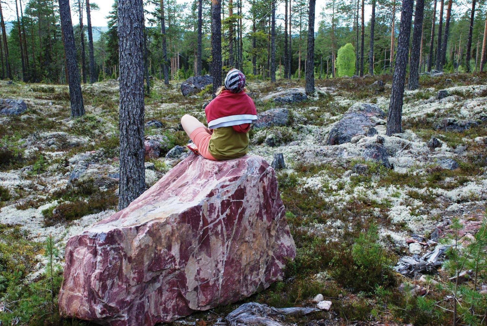 12 - Fulufjellets Nasjonalparker - Natur-, Dyre- Og Fugleopplevelser Ljørdal Esterno foto