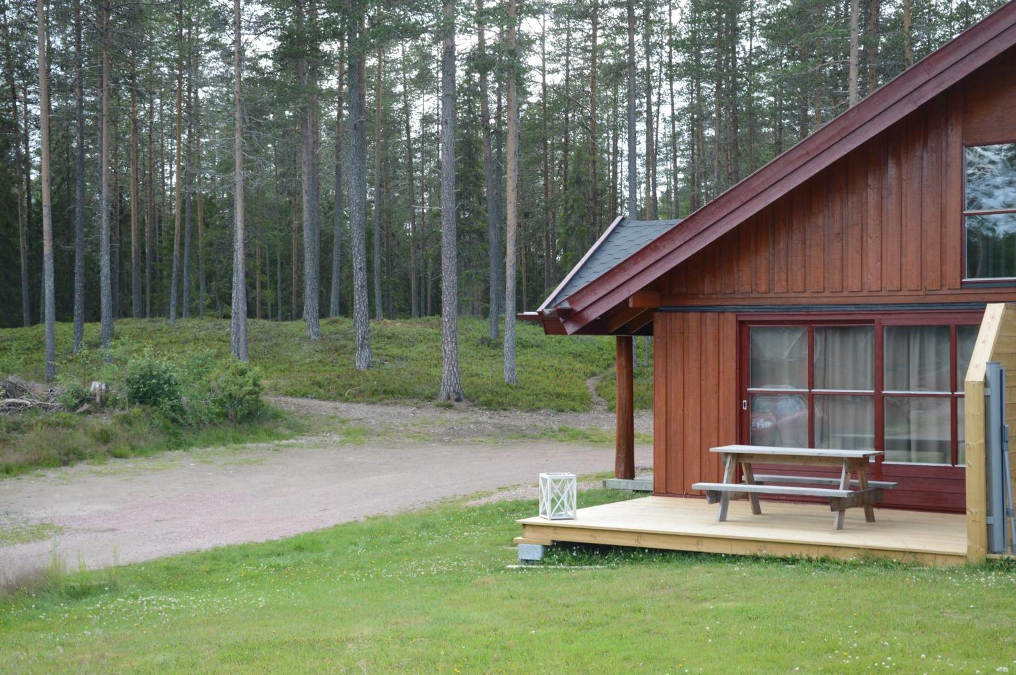 12 - Fulufjellets Nasjonalparker - Natur-, Dyre- Og Fugleopplevelser Ljørdal Esterno foto
