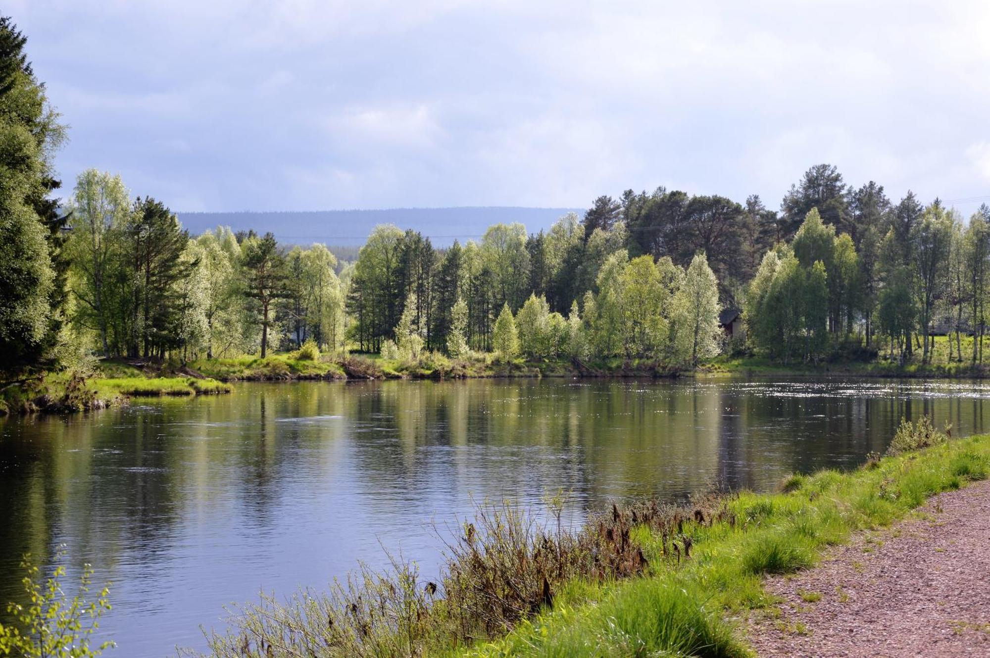 12 - Fulufjellets Nasjonalparker - Natur-, Dyre- Og Fugleopplevelser Ljørdal Esterno foto