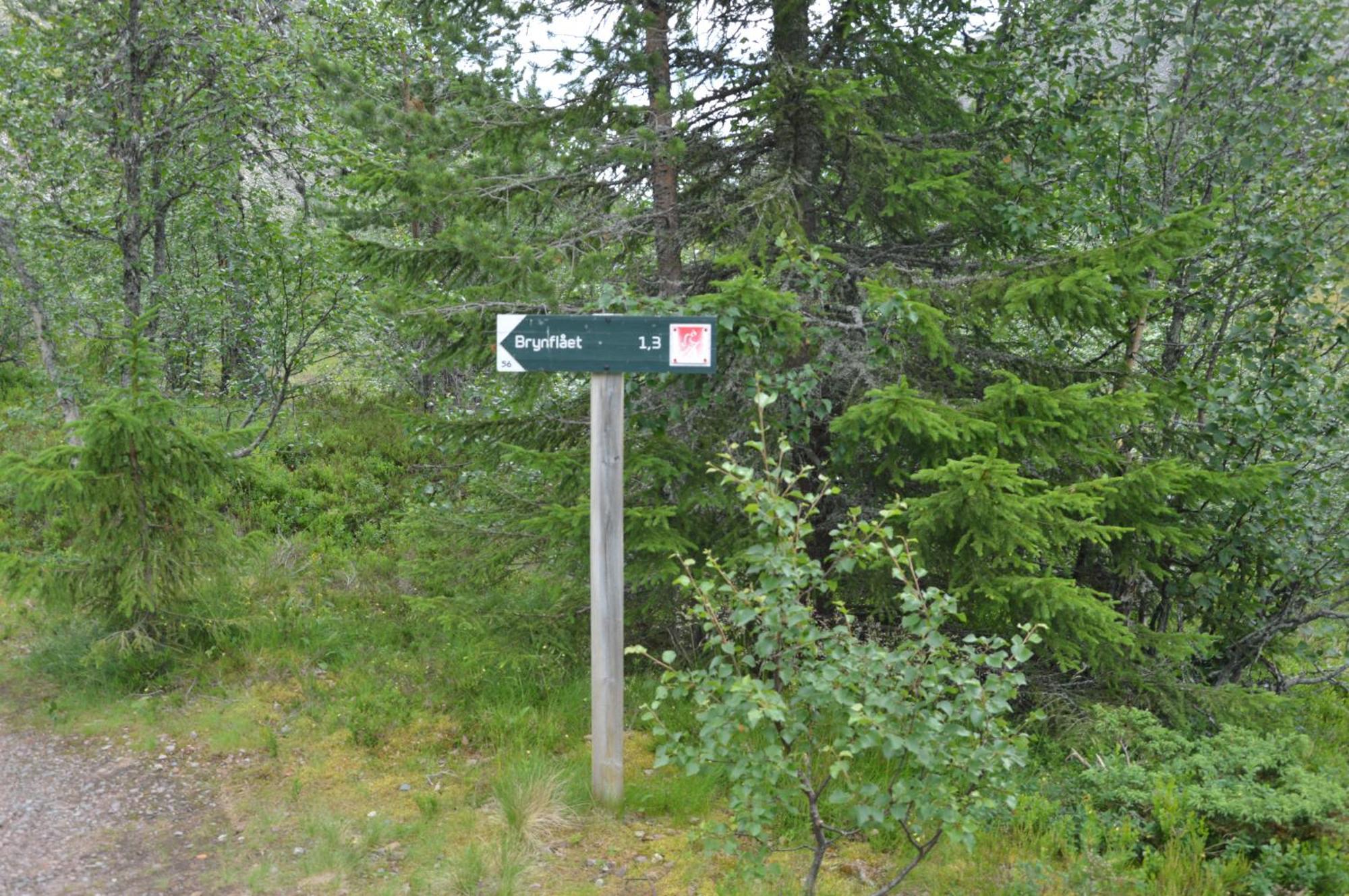 12 - Fulufjellets Nasjonalparker - Natur-, Dyre- Og Fugleopplevelser Ljørdal Esterno foto
