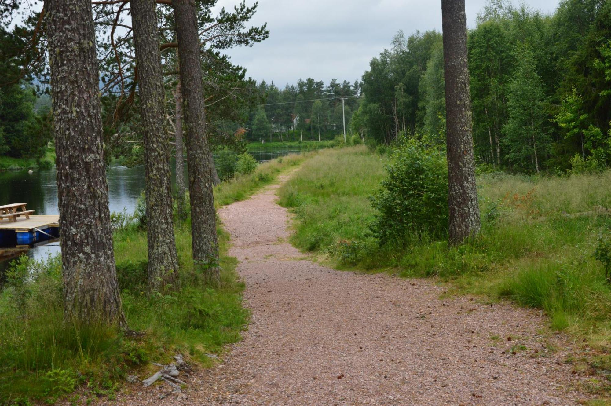 12 - Fulufjellets Nasjonalparker - Natur-, Dyre- Og Fugleopplevelser Ljørdal Esterno foto