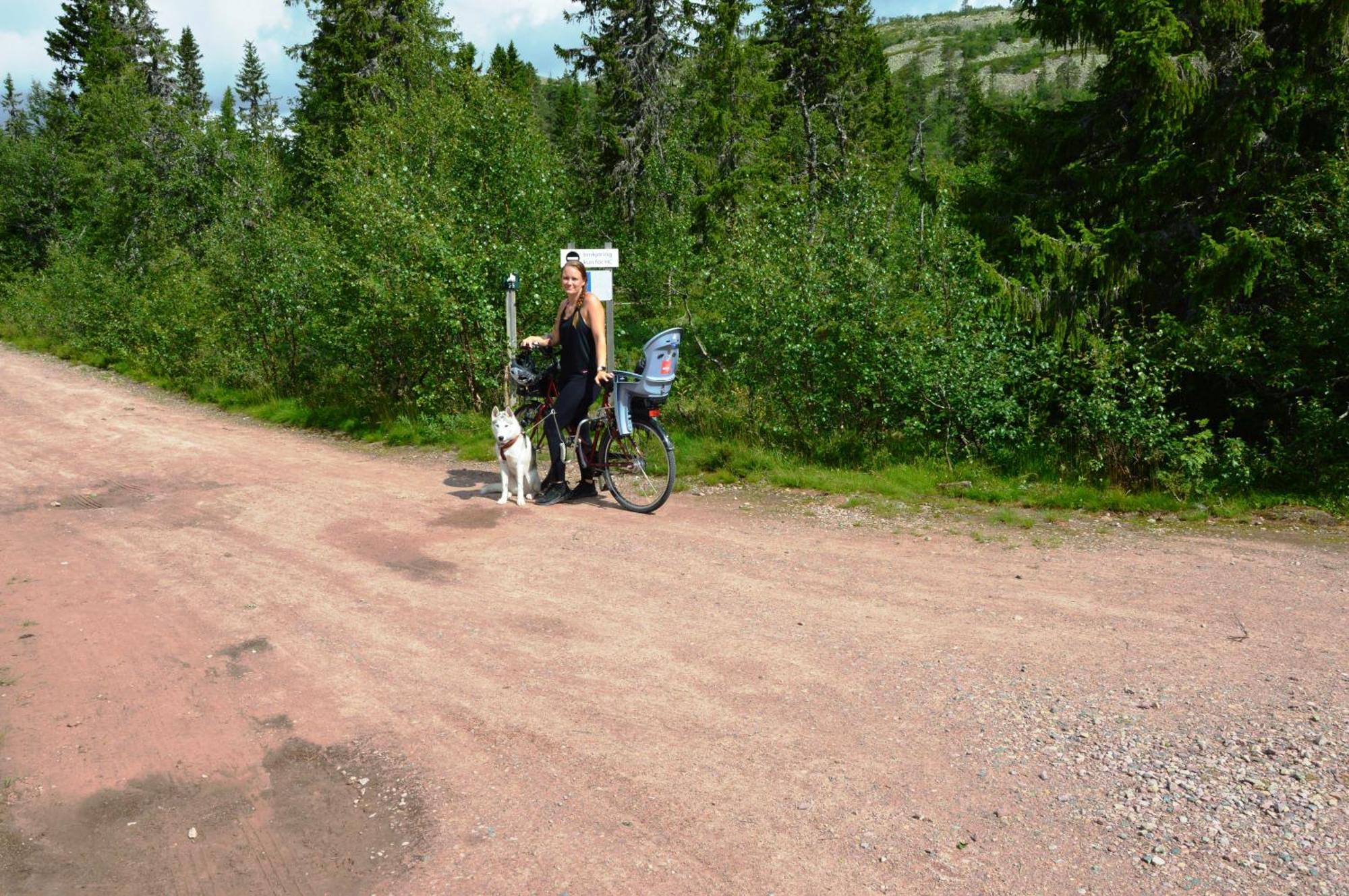 12 - Fulufjellets Nasjonalparker - Natur-, Dyre- Og Fugleopplevelser Ljørdal Esterno foto