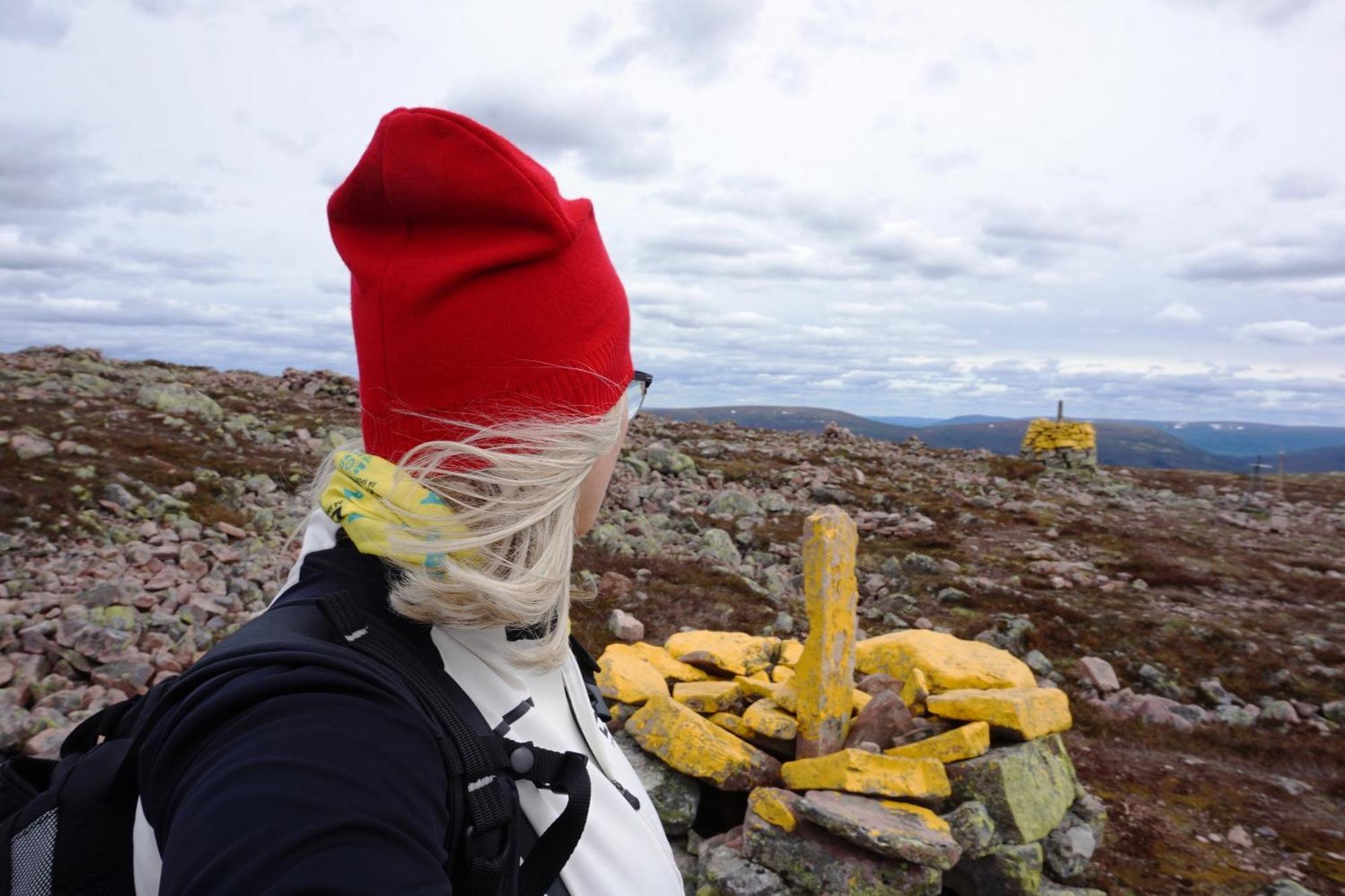 12 - Fulufjellets Nasjonalparker - Natur-, Dyre- Og Fugleopplevelser Ljørdal Esterno foto