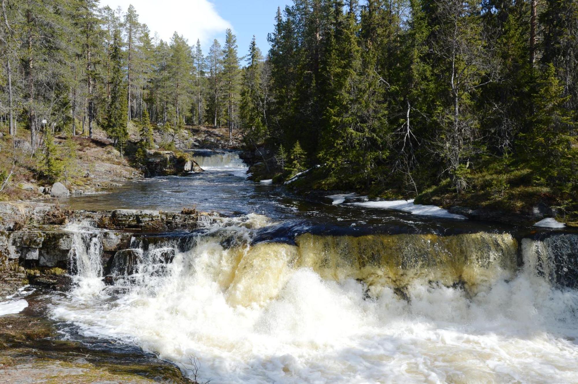 12 - Fulufjellets Nasjonalparker - Natur-, Dyre- Og Fugleopplevelser Ljørdal Esterno foto