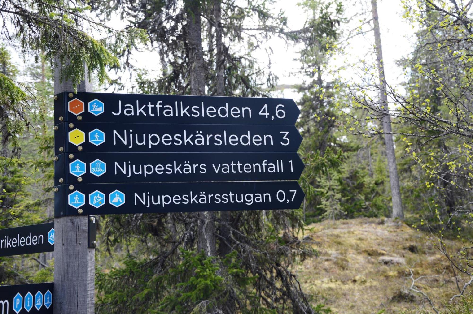 12 - Fulufjellets Nasjonalparker - Natur-, Dyre- Og Fugleopplevelser Ljørdal Esterno foto