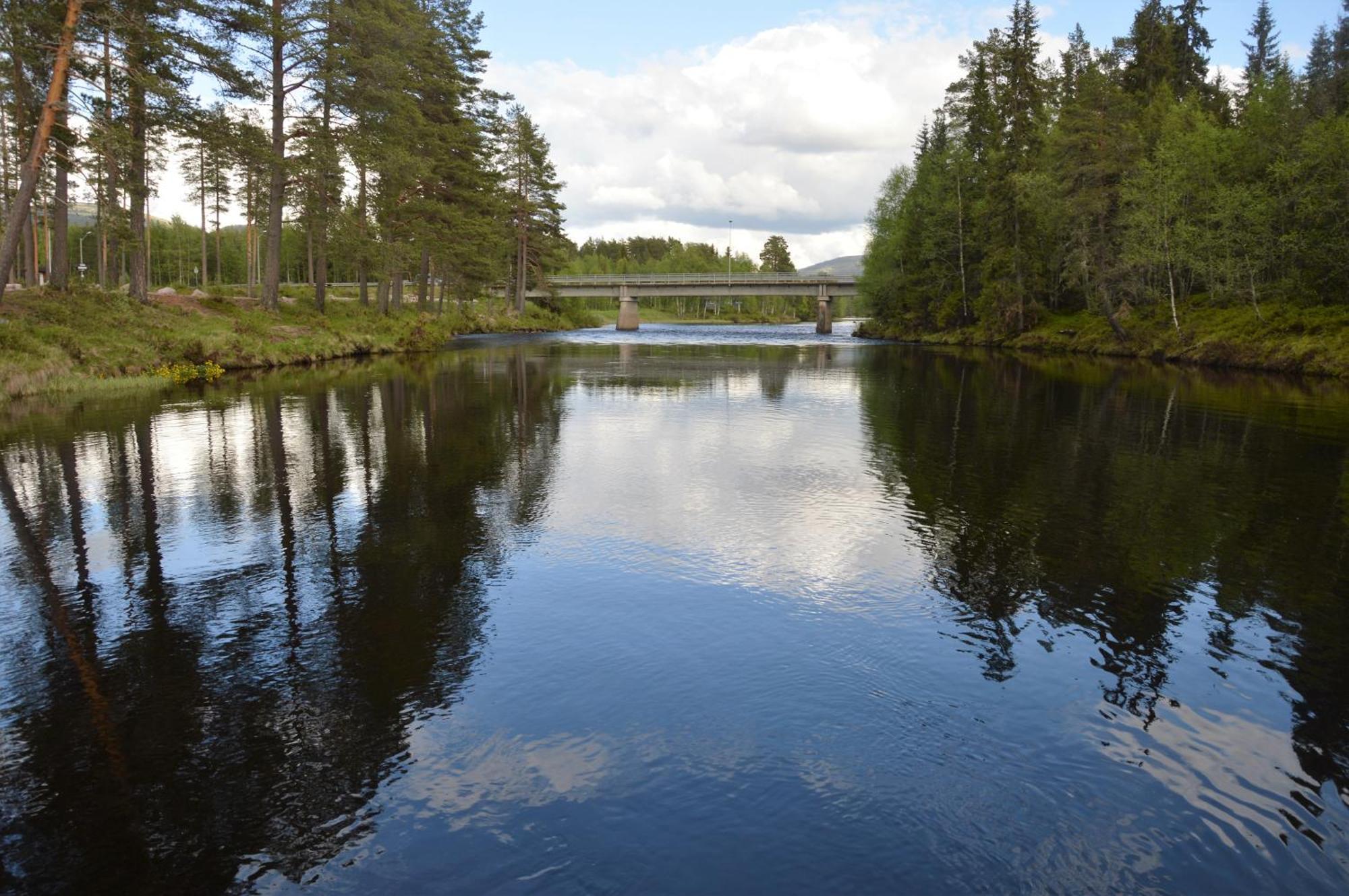 12 - Fulufjellets Nasjonalparker - Natur-, Dyre- Og Fugleopplevelser Ljørdal Esterno foto